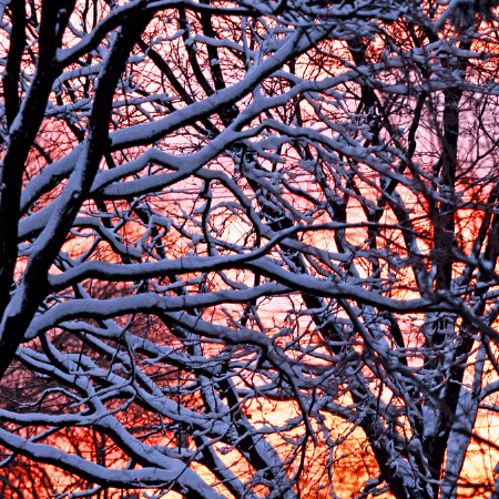 A December sun sets upon a snowy Sunday evening.  December 16, 2007.