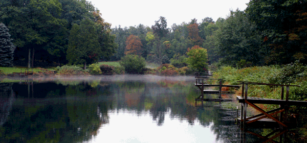 Mist and Fishing Docks in Private Trout Club, September 2005