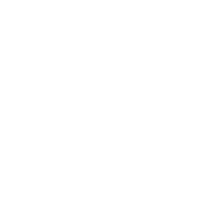 The Jaded  Hooker